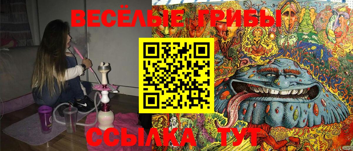 Удомля  Псилоцибиновые грибы Cubensis  Вход с VPN  как найти наркотики  Псилоцибиновые грибы GOLDEN TEACHER 